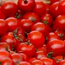 SMALL RED CHERRY TOMATO SEEDS 100+ GARDEN vegetables SAUCE salad FREE SHIPPING