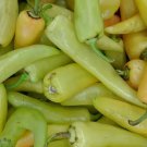 HUNGARIAN HOT WAX PEPPER SEEDS 50+ ""YELLOW"" vegetable GARDEN FREE SHIPPING