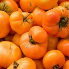 AMANA ORANGE TOMATO SEEDS 50+ INDETERMINATE GARDEN vegetables FREE SHIPPING