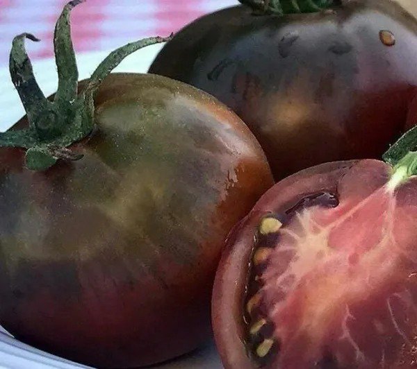 BLACK PRINCE TOMATO SEEDS 50+ INDETERMINATE vegetable GARDEN FREE SHIPPING