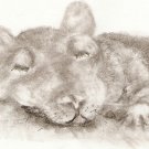 Hooded Rat ACEO Print