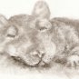 Hooded Rat ACEO Print