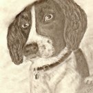 Terrier, ACEO print numbered and signed