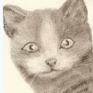 Domestic Shorthair, Gray Cat  ACEO print signed  & numbered