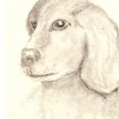 Yellow Labrador Pup ACEO print, sgined and numbered