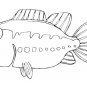 GONE FISHING Coloring eBOOK! 33 Printable Pages