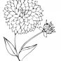 FLOWERS Printable Coloring eBook on CD - 363 Pages Coloring Sheets Book