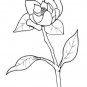 FLOWERS Printable Coloring eBook on CD - 363 Pages Coloring Sheets Book