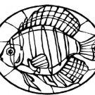 STAINED GLASS FISH Printable Coloring eBook CD | 33 Pages Coloring Sheets Book