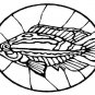 STAINED GLASS FISH Printable Coloring eBook CD | 33 Pages Coloring Sheets Book