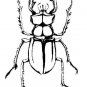 BUGS Printable Coloring eBook on CD - 39 Pages Coloring Sheets Book Kids Science