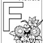 ABCS ALPHABET Printable Coloring eBook on CD | 58 Pages Coloring Sheets Book