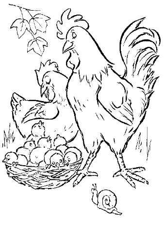 FARM ANIMALS Printable Coloring eBook on CD - 54 Pages Coloring Sheets Book