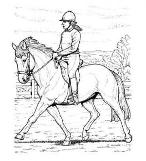 HORSES Printable Coloring eBook on CD - 31 Pages Coloring Sheets Book