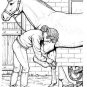 HORSES Printable Coloring eBook on CD - 31 Pages Coloring Sheets Book