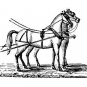 HORSES Printable Coloring eBook on CD - 31 Pages Coloring Sheets Book