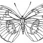 BUTTERFLIES Printable Coloring eBook on CD - 105 Pages Coloring Sheets Book