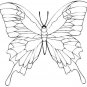 BUTTERFLIES Printable Coloring eBook on CD - 105 Pages Coloring Sheets Book