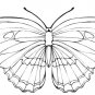 BUTTERFLIES Printable Coloring eBook on CD - 105 Pages Coloring Sheets Book
