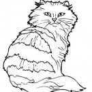 CATS Printable Coloring eBook on CD - 145 Pages Coloring Sheets Book