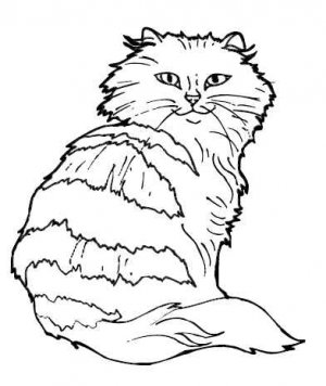 CATS Printable Coloring eBook on CD - 145 Pages Coloring Sheets Book