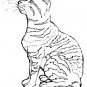 CATS Printable Coloring eBook on CD - 145 Pages Coloring Sheets Book