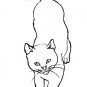 CATS Printable Coloring eBook on CD - 145 Pages Coloring Sheets Book