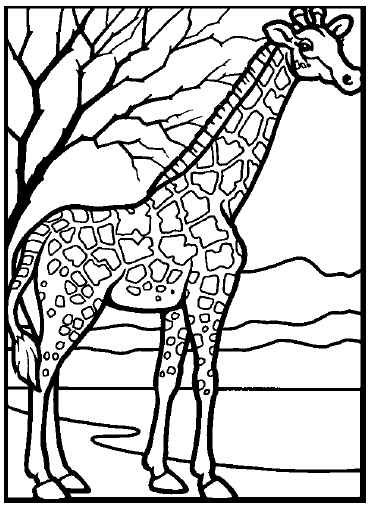 Coloring Pages Zoo Zoo Animals Coloring Page Zoo Coloring ...