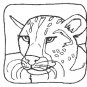 ZOO ANIMALS Printable Coloring eBook on CD - 58 Pages Coloring Sheets Book