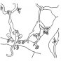 ZOO ANIMALS Printable Coloring eBook on CD - 58 Pages Coloring Sheets Book