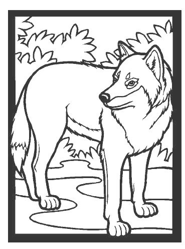 zoo animals printable coloring ebook on cd  58 pages
