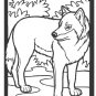 ZOO ANIMALS Printable Coloring eBook on CD - 58 Pages Coloring Sheets Book