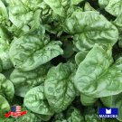 Spinach Seeds Viroflay Non Gmo Heirloom Vegetable Home Garden