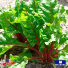 120 Swiss Chard Seeds Ruby Red Non Gmo Heirloom Vegetable Home Garden