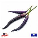 Non Gmo 40 Pepper Seeds Hot Cayenne Purple Heirloom Home Garden
