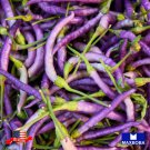 20 Cayenne Purple Hot Pepper Seeds Non Gmo Heirloom Vegetable Home Garden