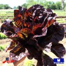 Lettuce Seeds Red Romaine Non Gmo Heirloom Vegetable Home Garden