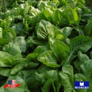 Non Gmo 350 Spinach Seeds Viroflay Heirloom Vegetable Home Garden
