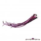 Red Yardlong Bean Seeds Or Asparagus Noodle Bean 10 Seeds Fresh Garden
