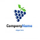 Purple and blue grapes logo #1034