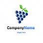 Purple and blue grapes logo #1034