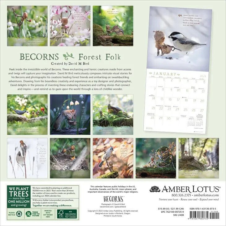 Amber Lotus Becorns 2024 Wall Calendar Forest Folk By David M Bird w