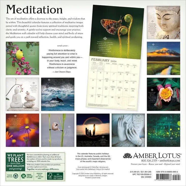 Amber Lotus Meditation 2024 Wall Calendar