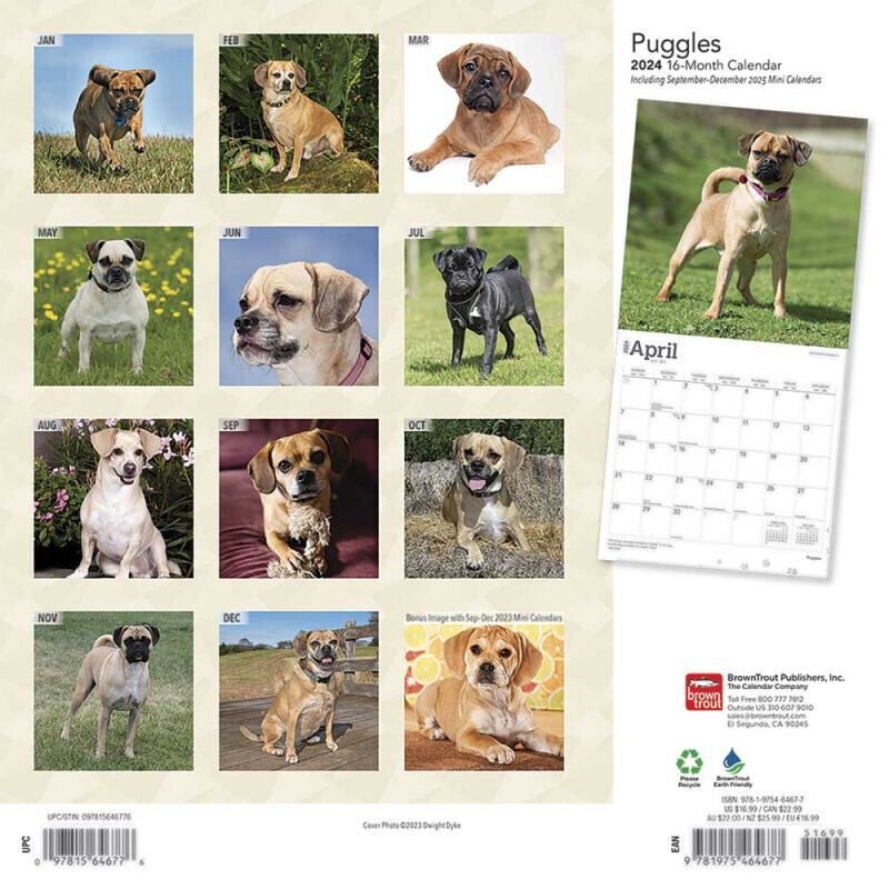 Browntrout Puggles 2024 12 x 12 Wall Calendar w