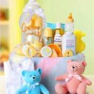 New Arrival Baby Fundamentals for Baby Gift Basket!