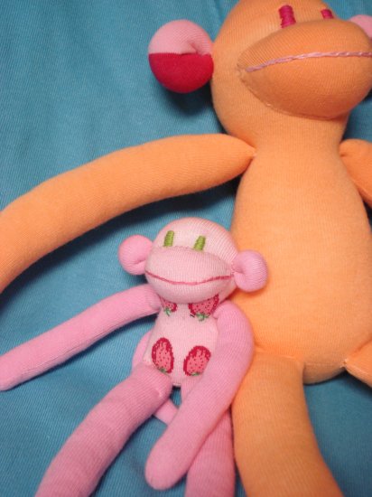 Wholesale : 10 Baby Monkeys