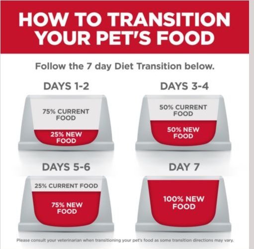 Hill's Science Diet Perfect Digestion Chicken, Vegetable & Rice Stew Adult Cat Food,24x2.9oz