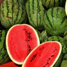 Jubilee Improved Watermelon 5 seeds per pack
