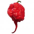 Carolina Reaper F1 Hybrid Pepper 5 seeds per pack