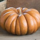 Musquee de Provence Pumpkin 10 seeds per pack